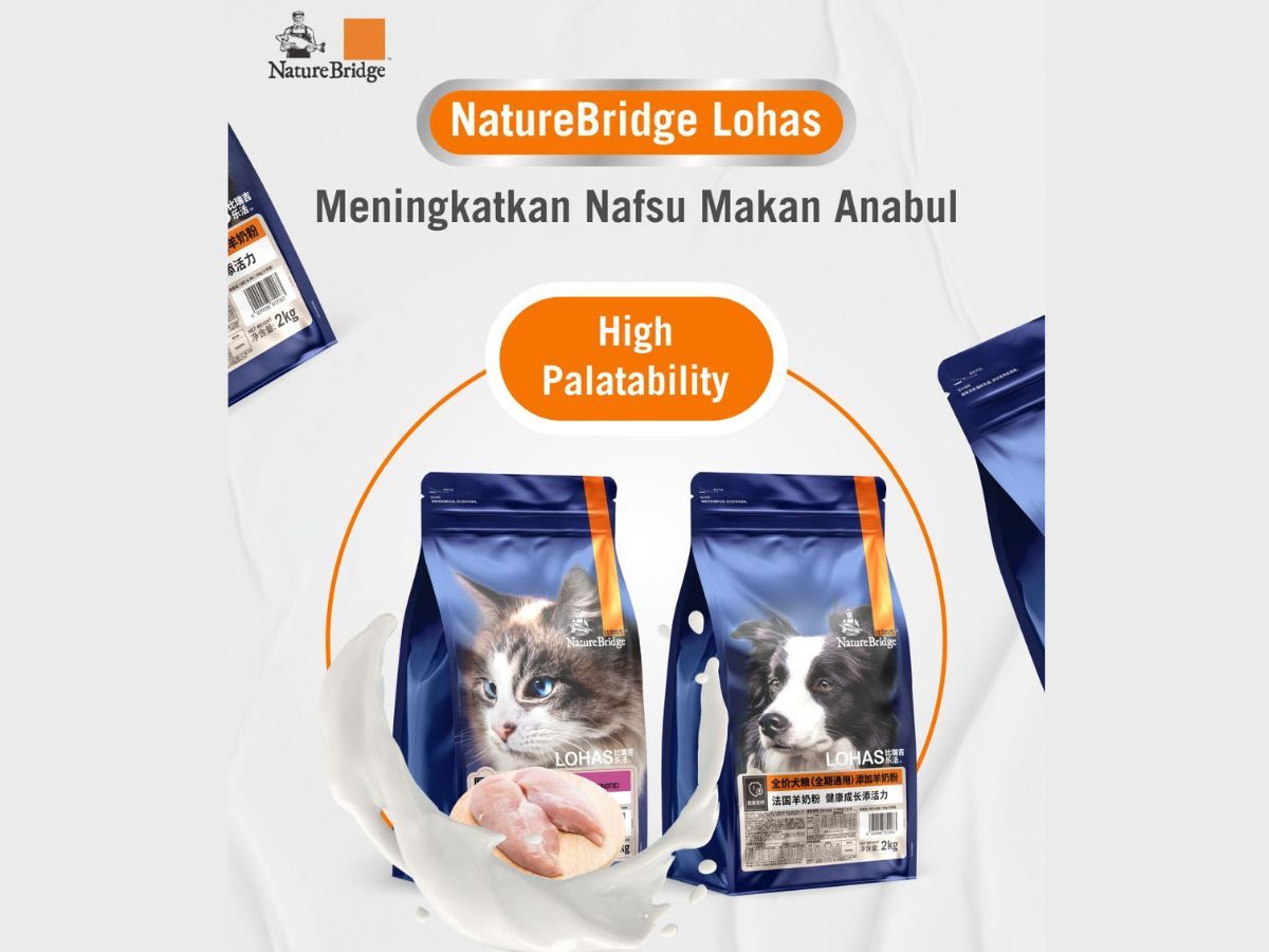 Tips | How Much Should You Really Feed Your Dog or Cat?