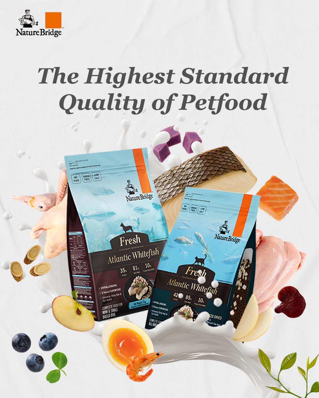 Pet Tips | Solusi Protein Unggulan untuk Hewan Peliharaan Hipersensitif