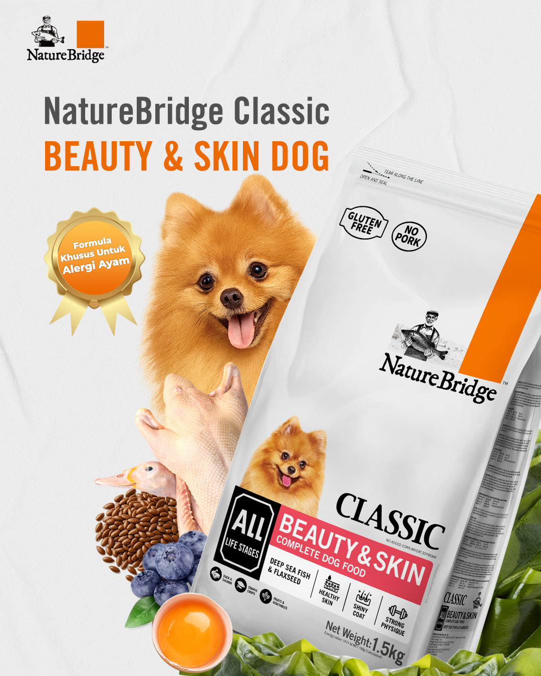Pet Tips | The Basics of Skin & Coat Care for Dogs and Cats