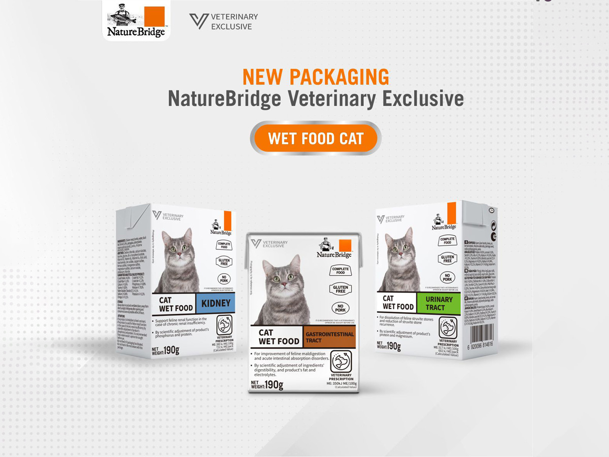 Pet Tips | Dangerous Foods for Dogs and Cats – Don’t Swallow Them!